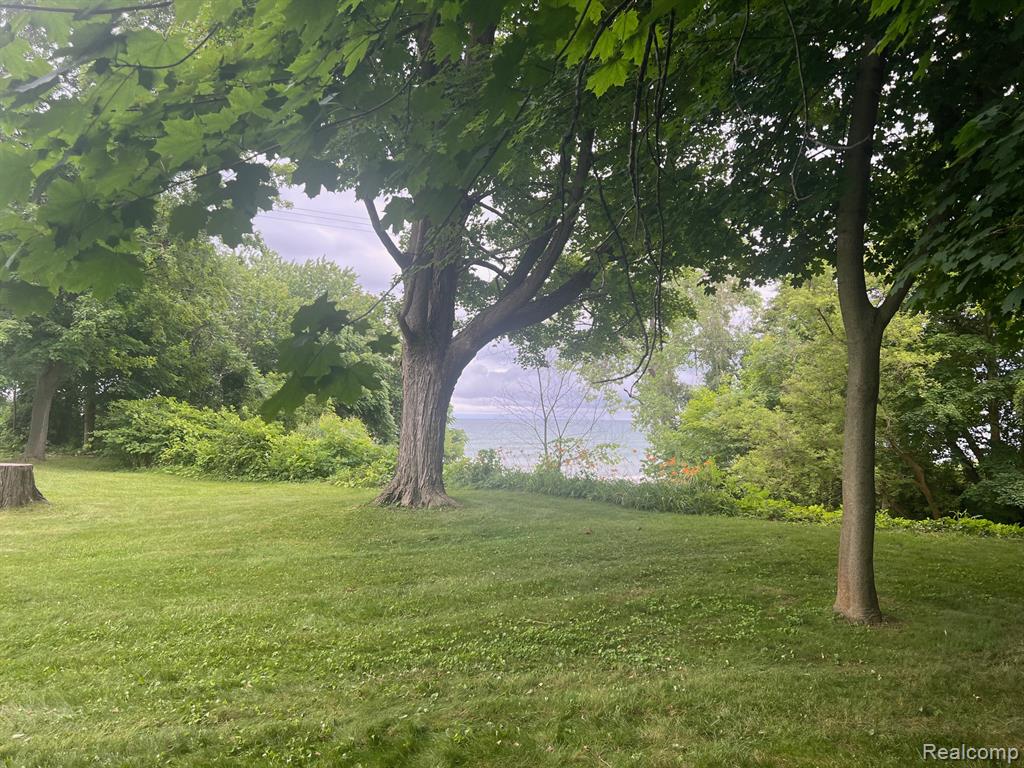 7428 Grove Road, Lexington, MI 48450 — Photo 12