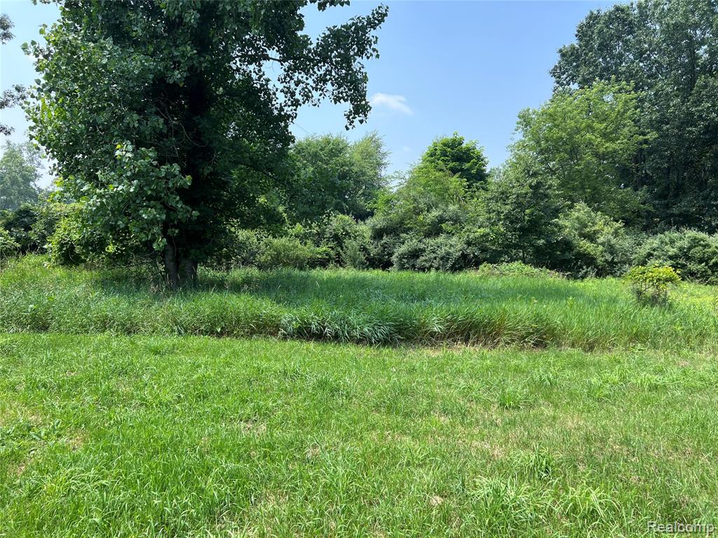 6197 Sober Road, Fowlerville, MI 48836 — Photo 23