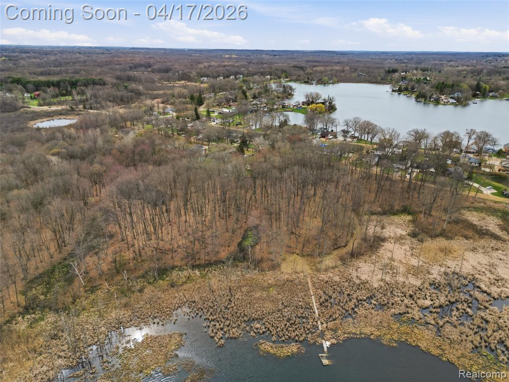 11430 Big Lake Road, Davisburg, MI 48350 — Photo 5