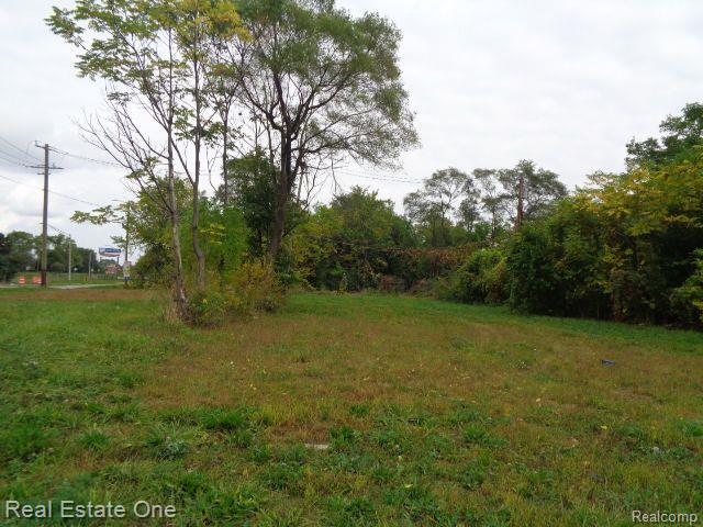 5266 LINWOOD Street, Detroit, MI 48208 — Photo 6