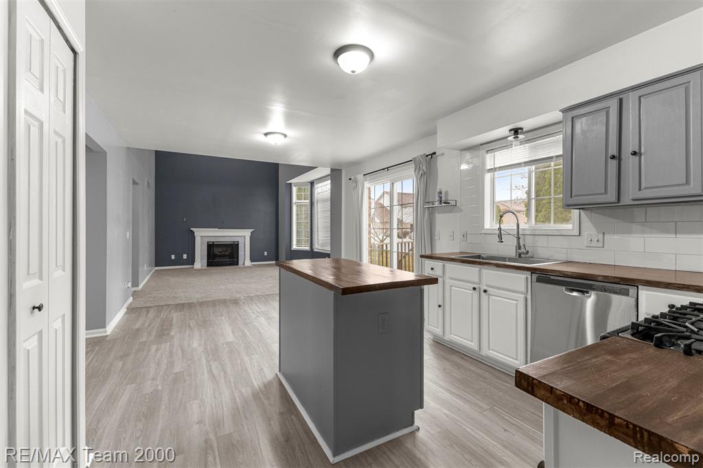 21717 Hildebrandt Drive, Flat Rock, MI 48134 — Photo 11