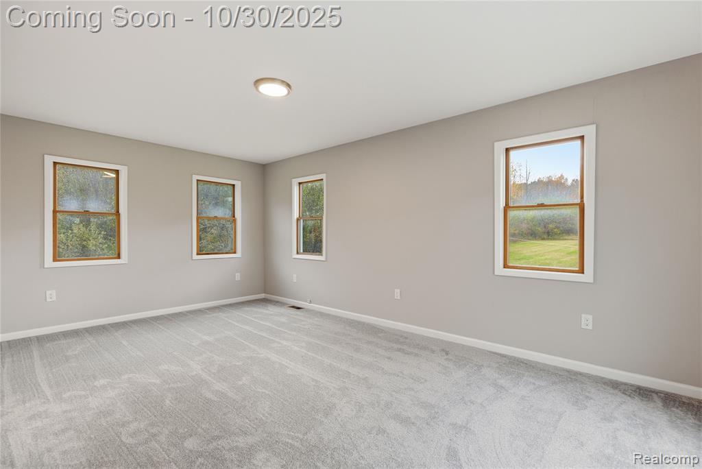 7777 Jordan Road, Yale, MI 48097 — Photo 17