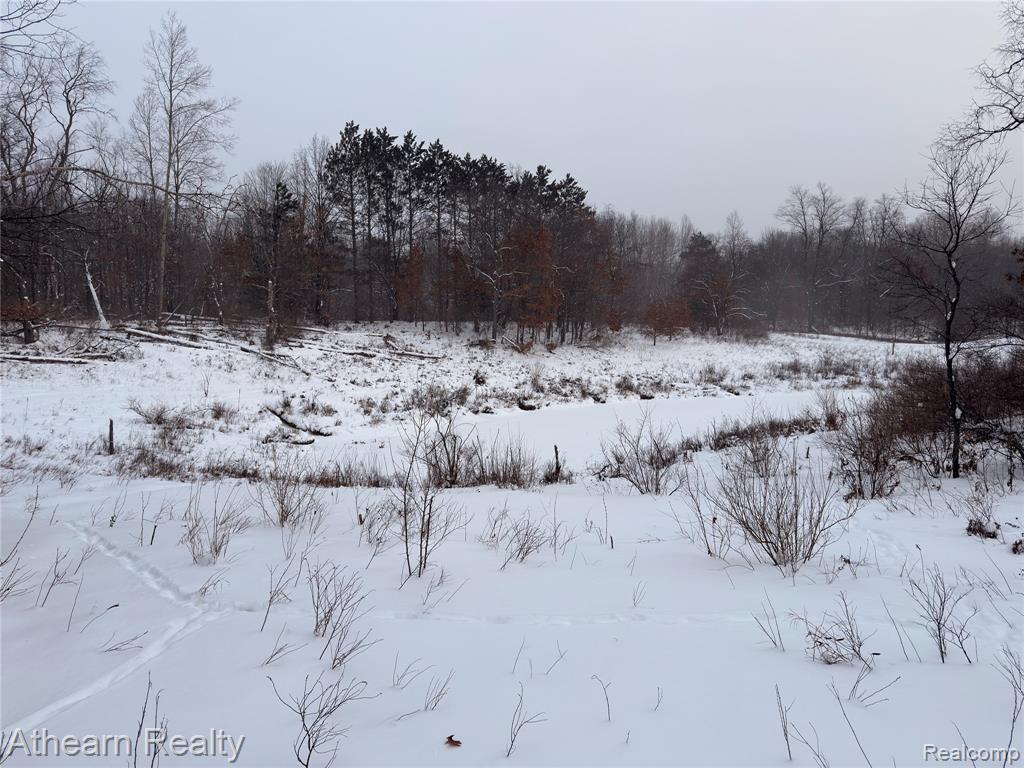 5785 Bringold, Lake, MI 48632 — Photo 13