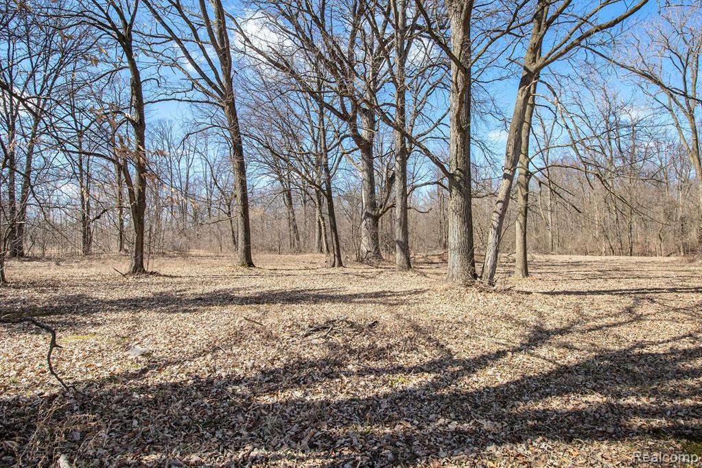 5426 W MOUNT MORRIS Road, Mount Morris, MI 48458 — Photo 30