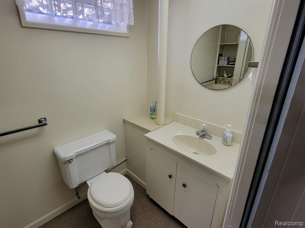 42 S FLOWER Street, Croswell, MI 48422 — Photo 18