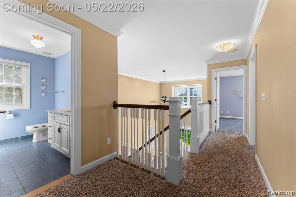 9350 Silverside, South Lyon, MI 48178 — Photo 18