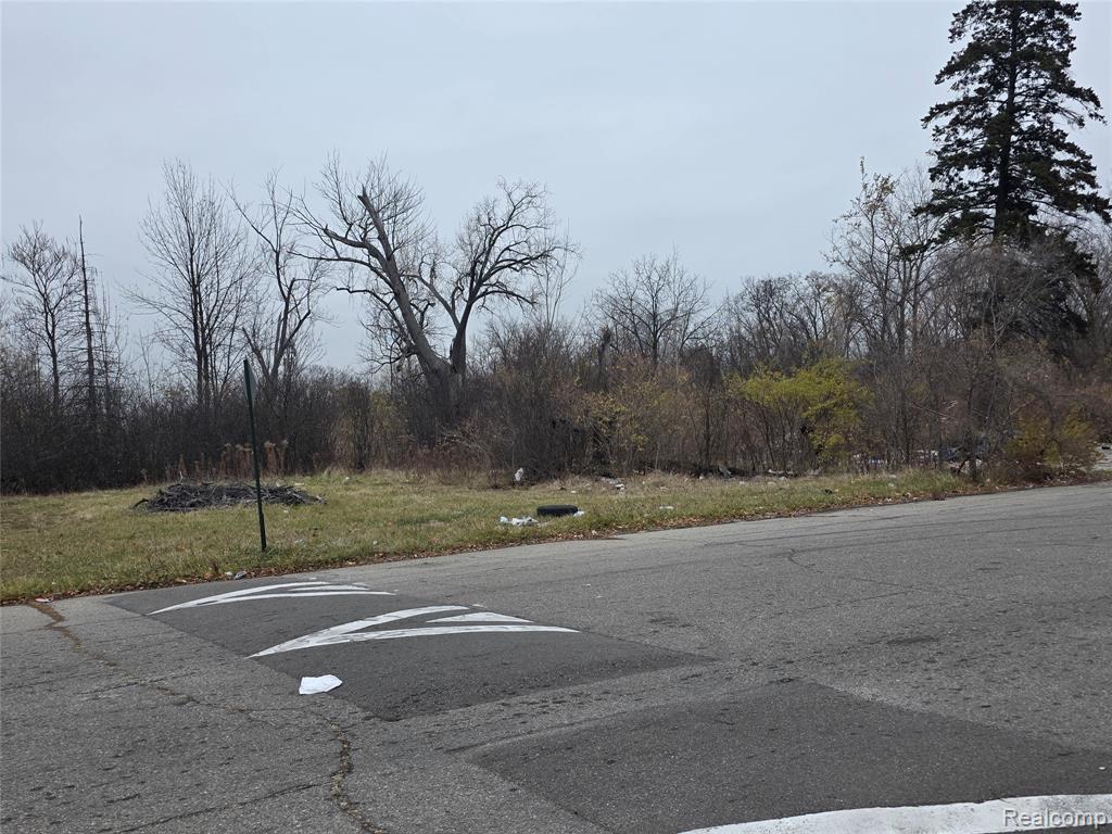 19628 Danbury Street, Highland Park, MI 48203 — Photo 3