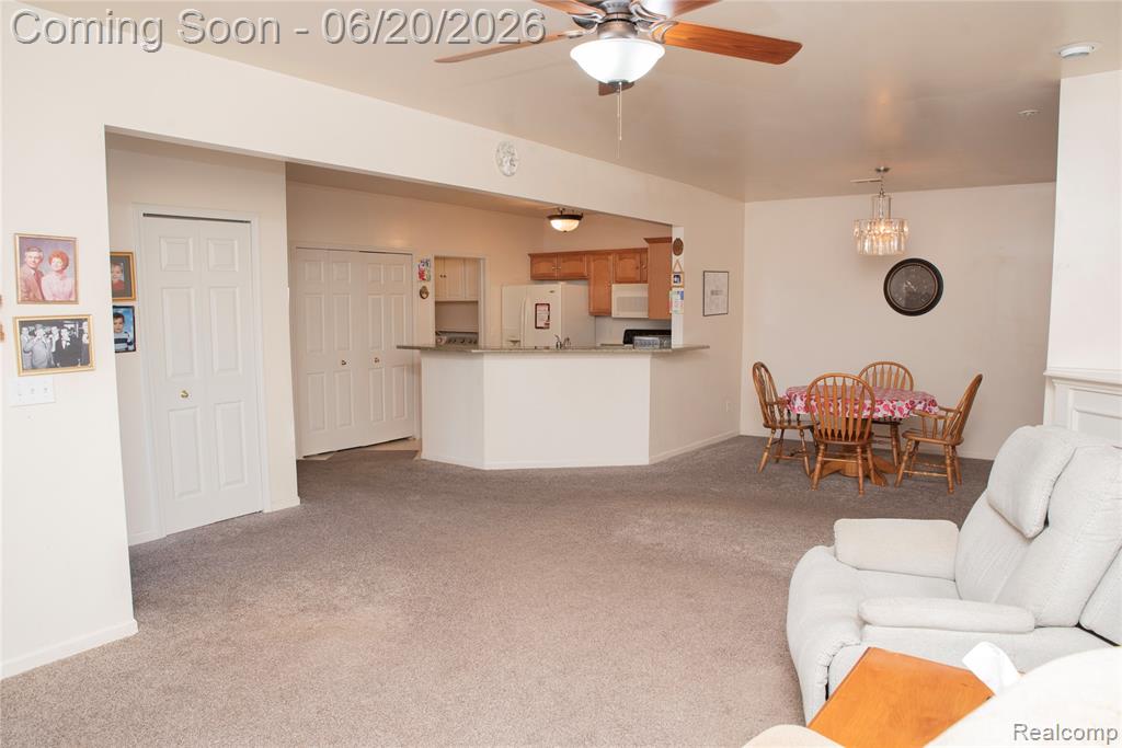 519 Cedar Street, Wyandotte, MI 48192 — Photo 9