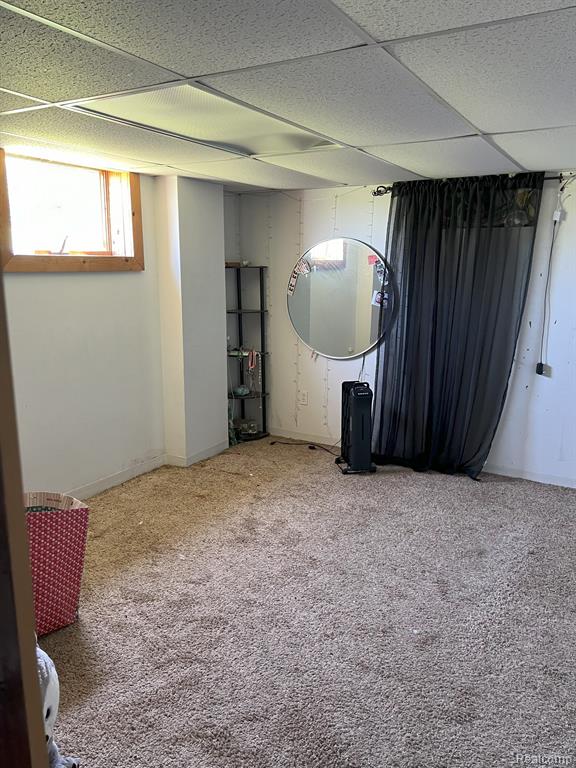 12075 PEET Road, Chesaning, MI 48616 — Photo 10