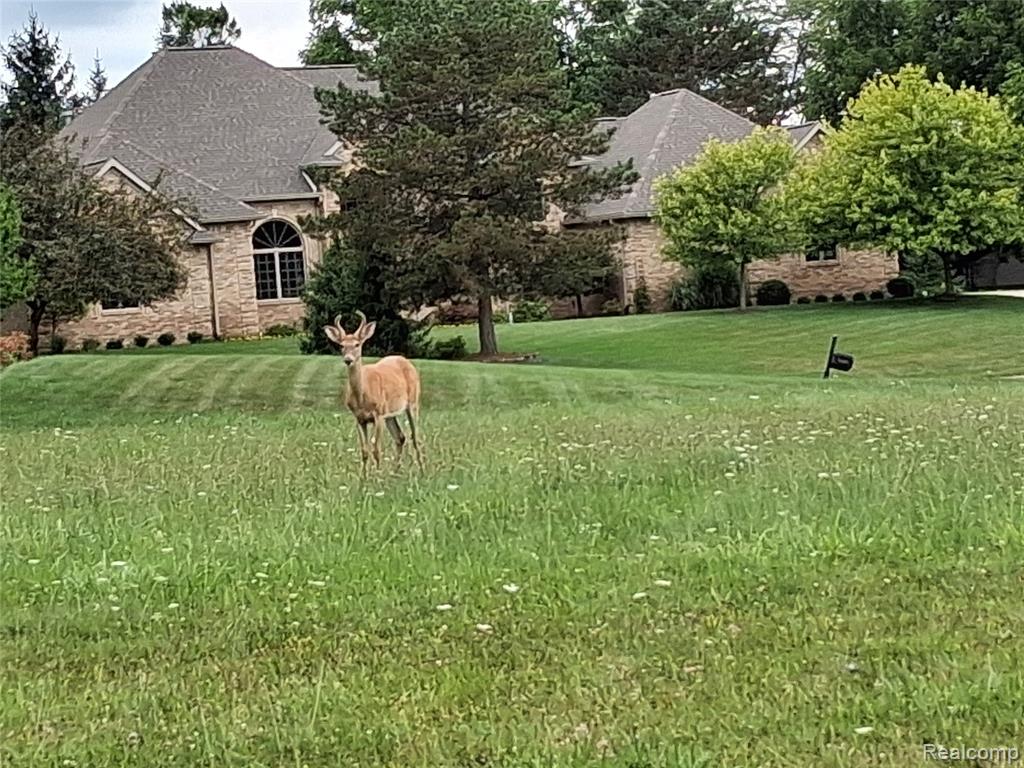 lot 21 Burlwood Circle, Grand Blanc, MI 48439 — Photo 11
