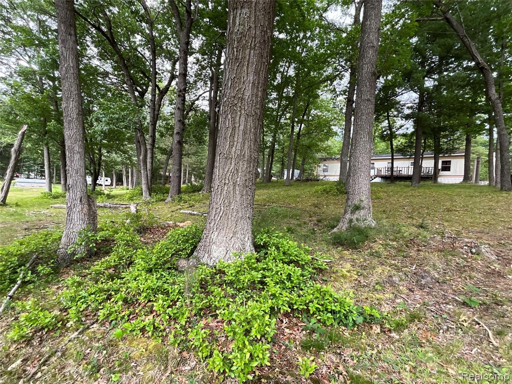 2192 Lake Road S, National City, MI 48748 — Photo 7