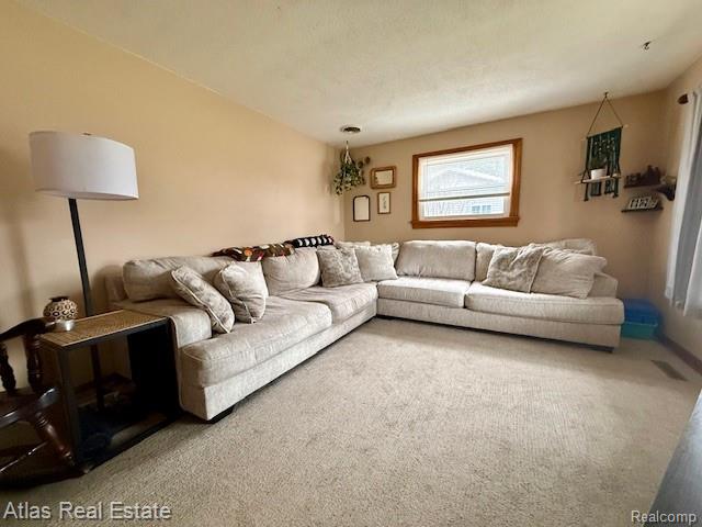738 Richard Street, Vassar, MI 48768 — Photo 12