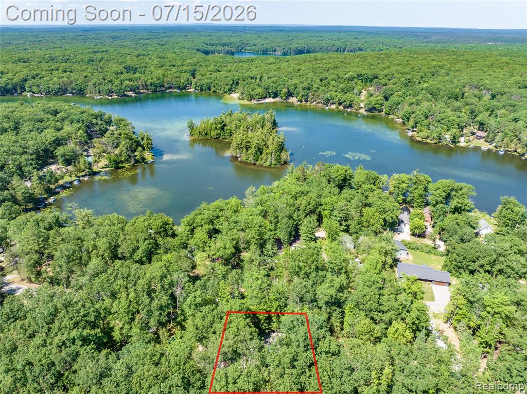371 Dyer Road, Rose City, MI 48654 — Photo 23