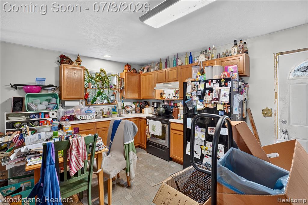 407 E Elizabeth Street, Eaton Rapids, MI 48827 — Photo 8