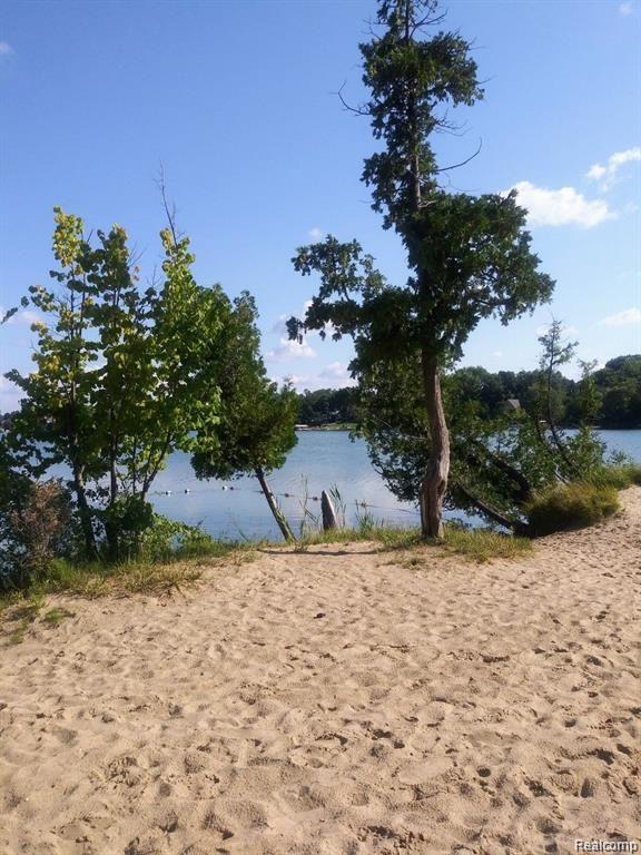7254 DARK LAKE Drive, Clarkston, MI — Photo 54