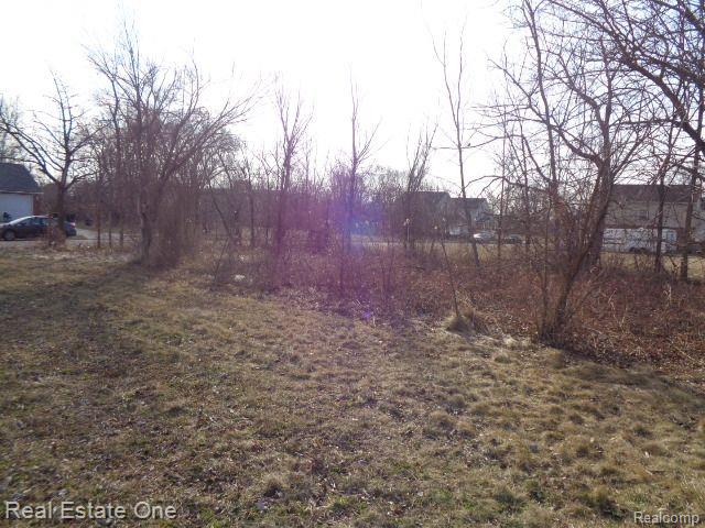 4293 16TH Street, Detroit, MI 48208 — Photo 5