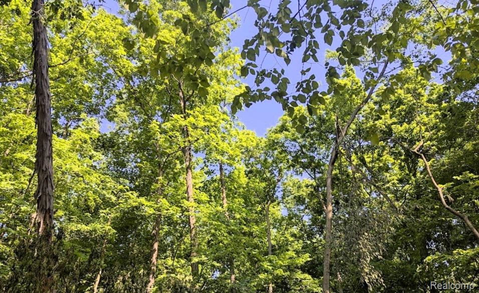 Parcel A - Rolston Road, Linden, MI 48451 — Photo 19