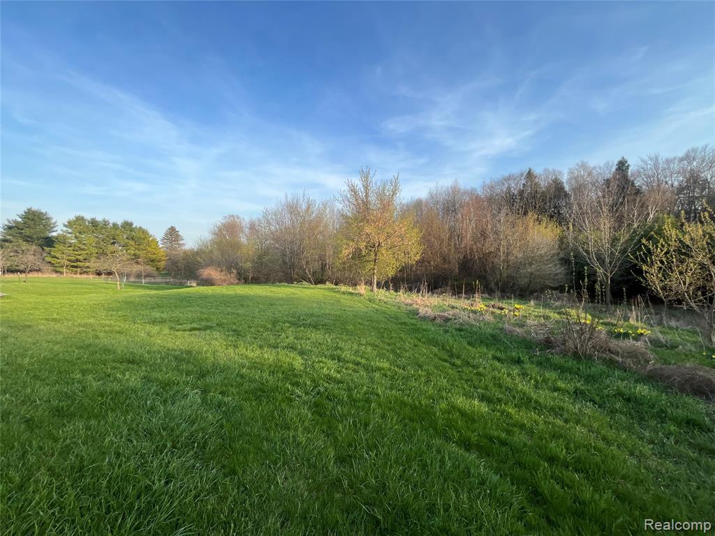 4218 Babcock #1 Road, Lexington, MI 48450 — Photo 43