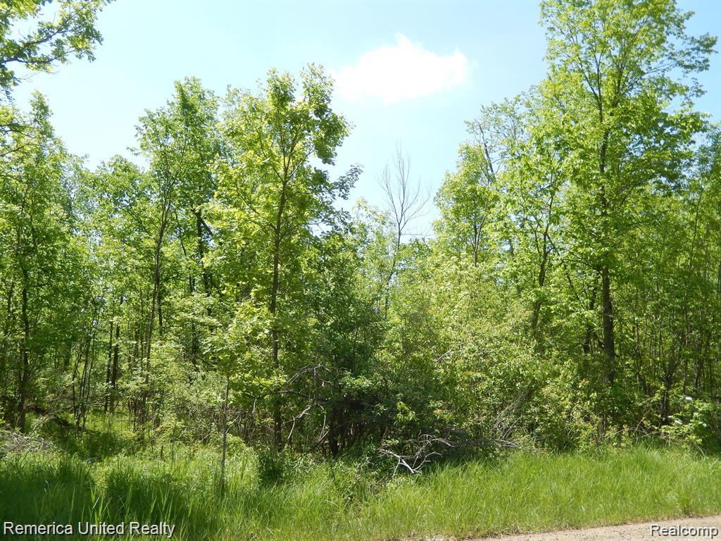 Parcel 20 Munsell Road, Howell, MI 48843 — Photo 4