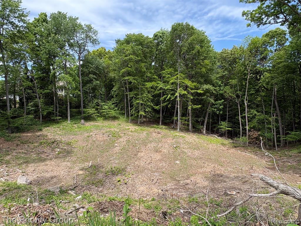 6248 E Crest Forest Court, Clarkston, MI 48348 — Photo 4