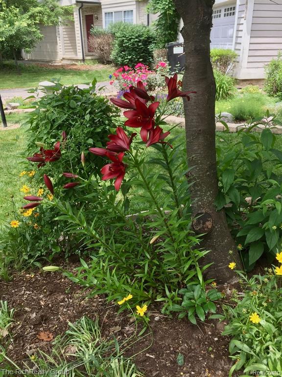 415 Sommerset Court, Ann Arbor, MI 48103 — Photo 39