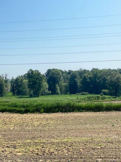 7451 Fostoria Road, Mayville Vlg, MI 48744 — Photo 13