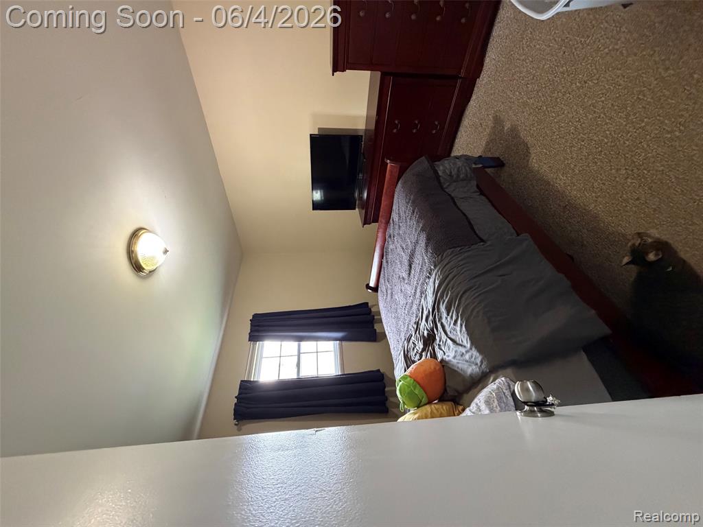 714 Lowell Street, Marine, MI — Photo 20