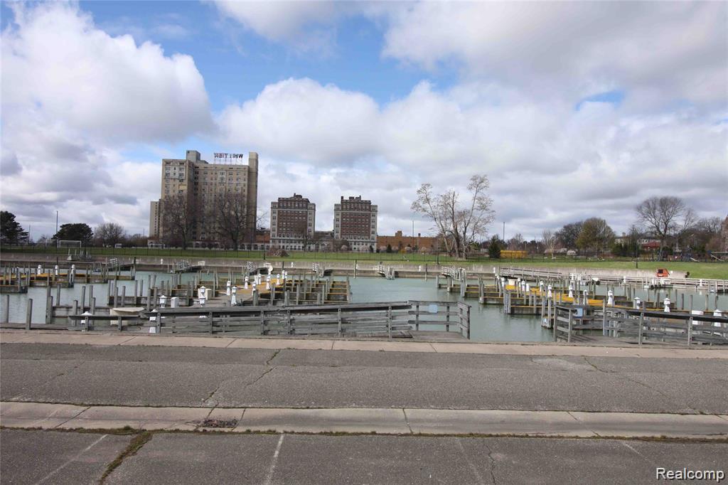 8900 E Jefferson Avenue, 916, Detroit, MI 48214 — Photo 9