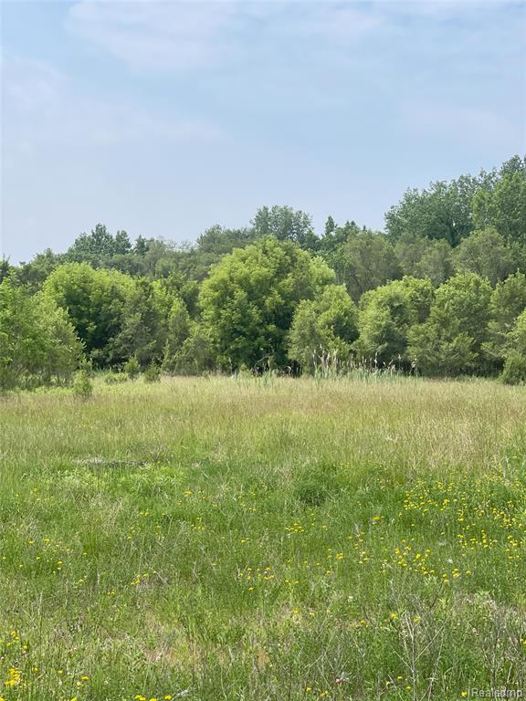 9885 CEDAR ISLAND Road, White Lake, MI — Photo 6