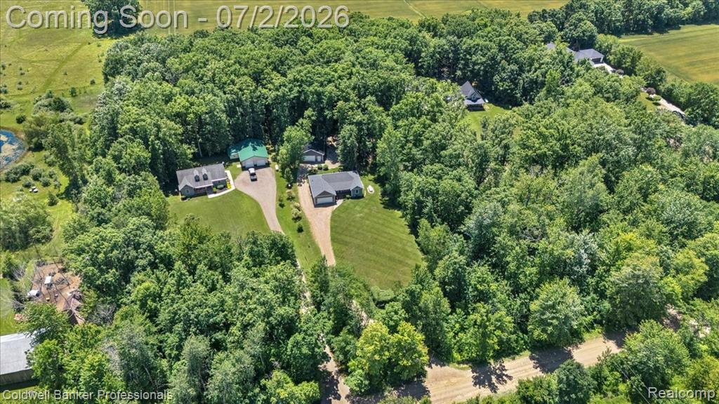 8224 Petz Road, Imlay City, MI 48444 — Photo 29