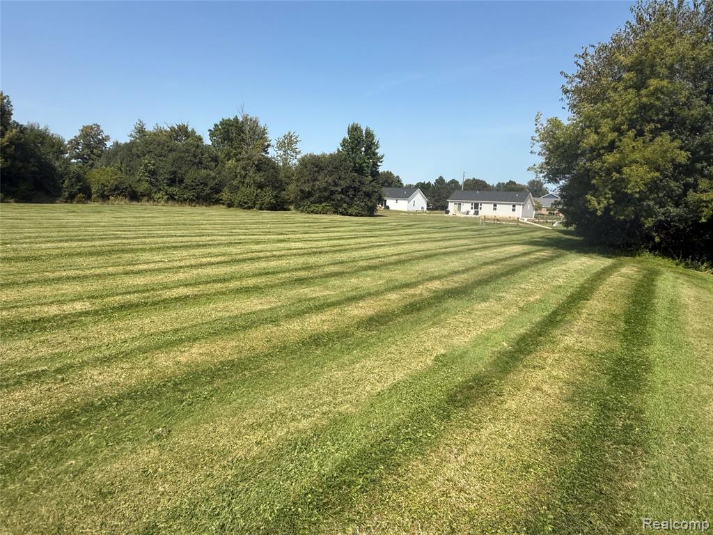 320 W Flint Street, Davison, MI 48423 — Photo 14