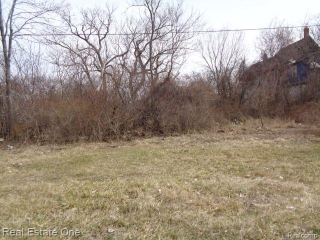 600 CONCORD Street, Detroit, MI 48207 — Photo 3