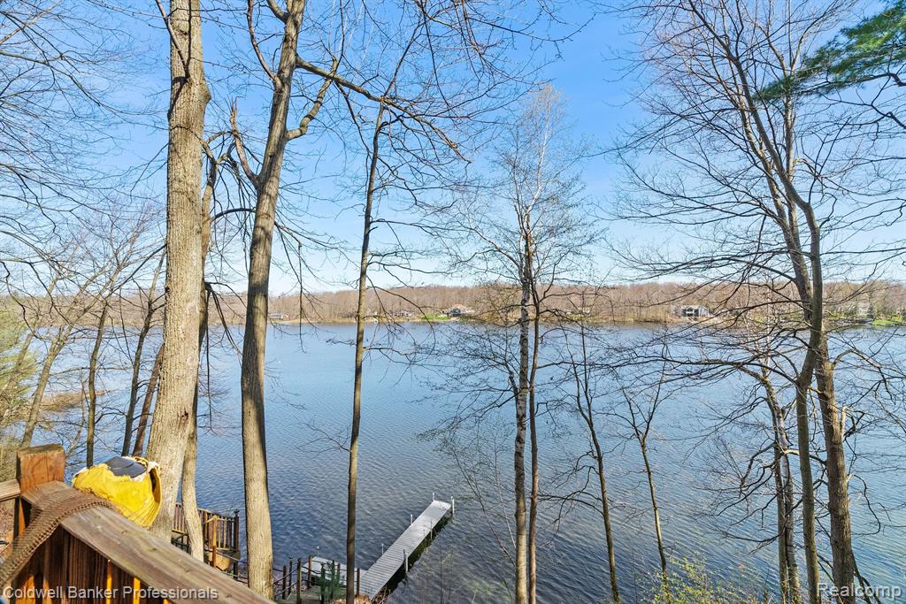 4710 BRUNK Drive, Otter Lake, MI 48464 — Photo 68