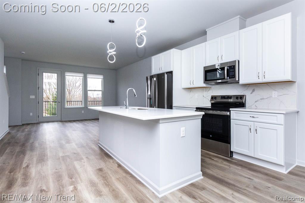 3035 HYDRANGEA Lane, Ann Arbor, MI 48103 — Photo 7