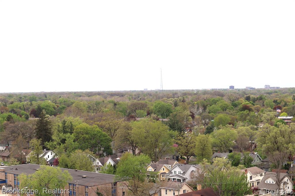432 Washington Avenue, 1304, Royal Oak, MI 48067 — Photo 6