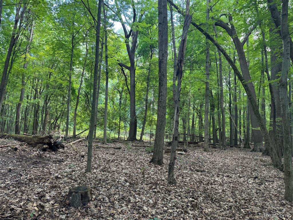 3711 Baldwin Road, Metamora, MI 48455 — Photo 72