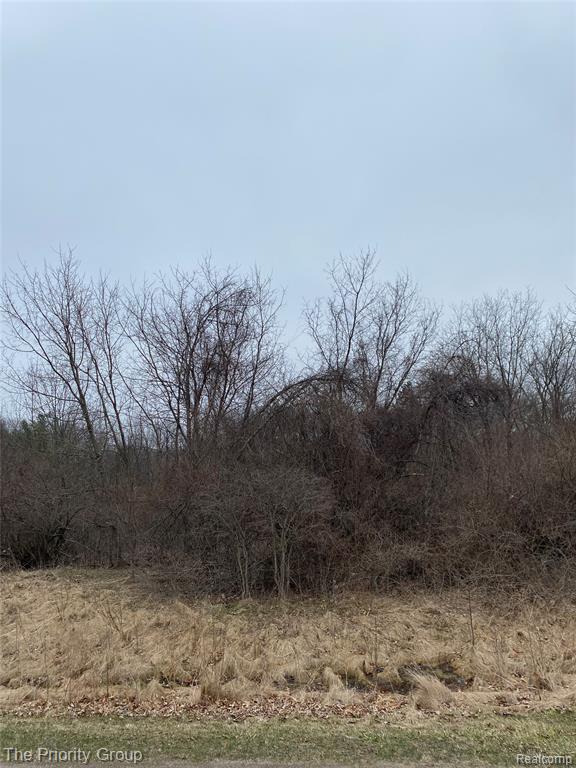 160 Great Pines Drive, Oxford, MI 48371 — Photo 2