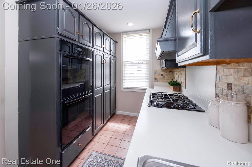 3352 4th, Wyandotte, MI 48192 — Photo 28