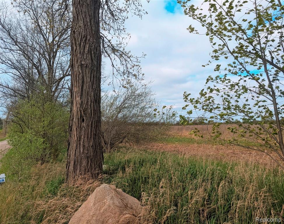 Parcel E Hogan Road, Linden, MI 48451 — Photo 17