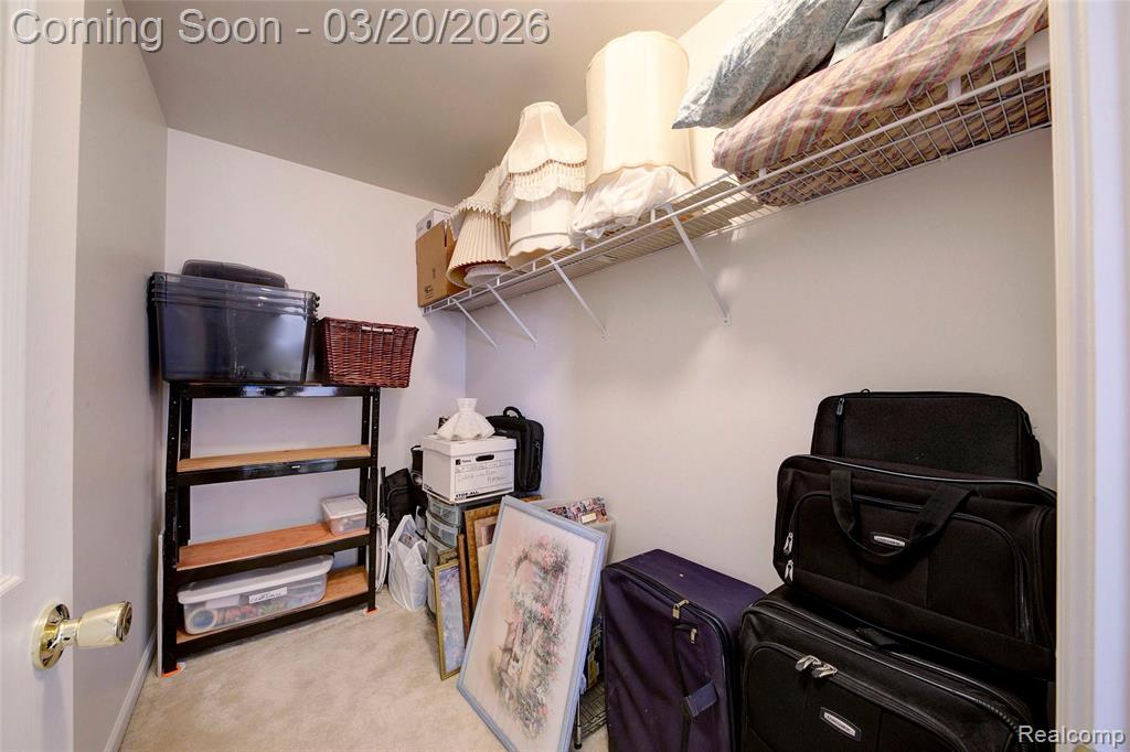 8627 Cass River Drive, Fowlerville, MI 48836 — Photo 17