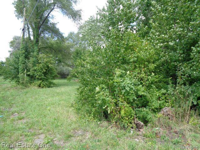 2881 17TH Street, Detroit, MI 48216 — Photo 9