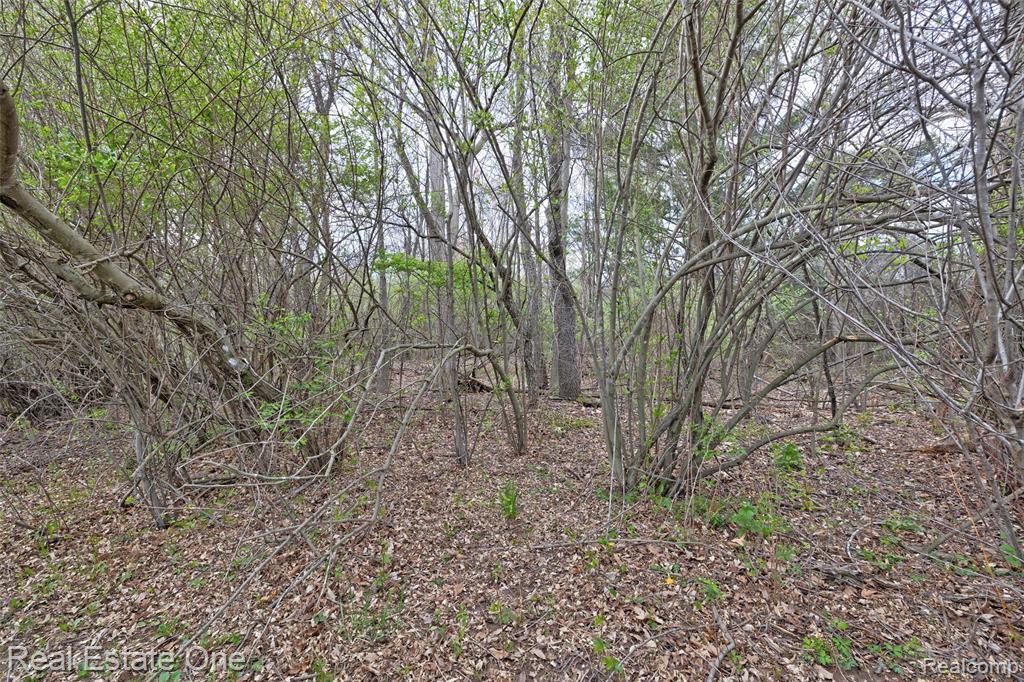 590 Judi Ann Lane, Holly, MI 48442 — Photo 23