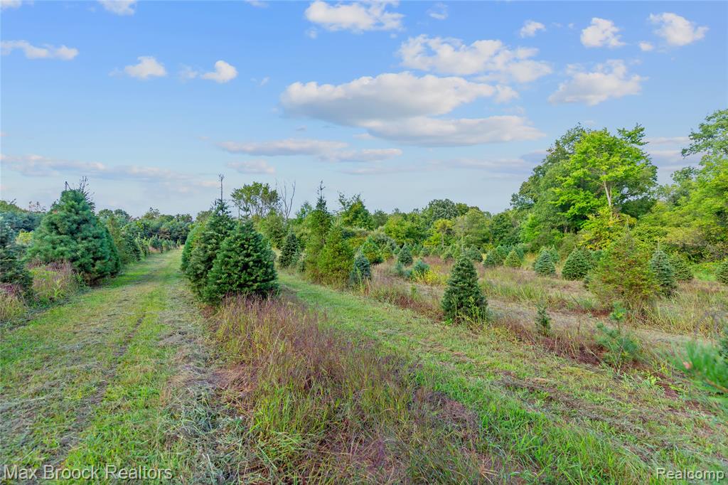 4700 Stanley Road, Columbiaville, MI 48421 — Photo 73
