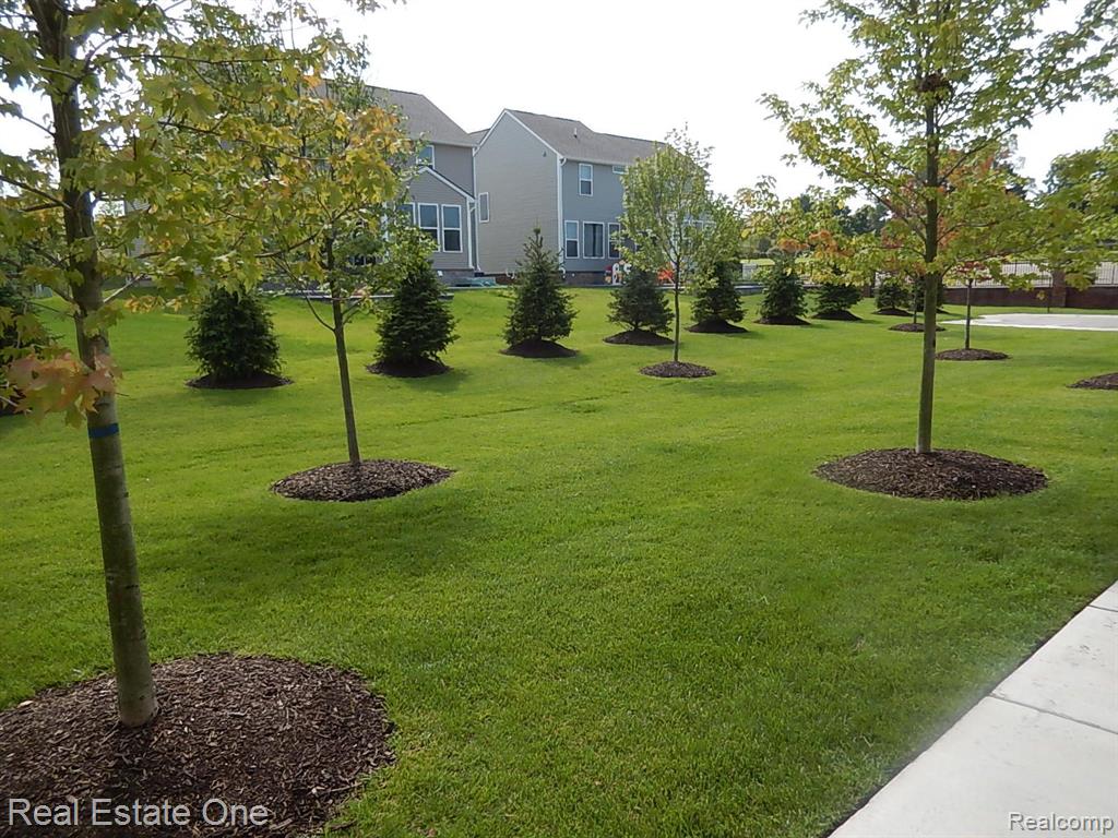 123 MONUMENT Lane, Wixom, MI 48393 — Photo 2