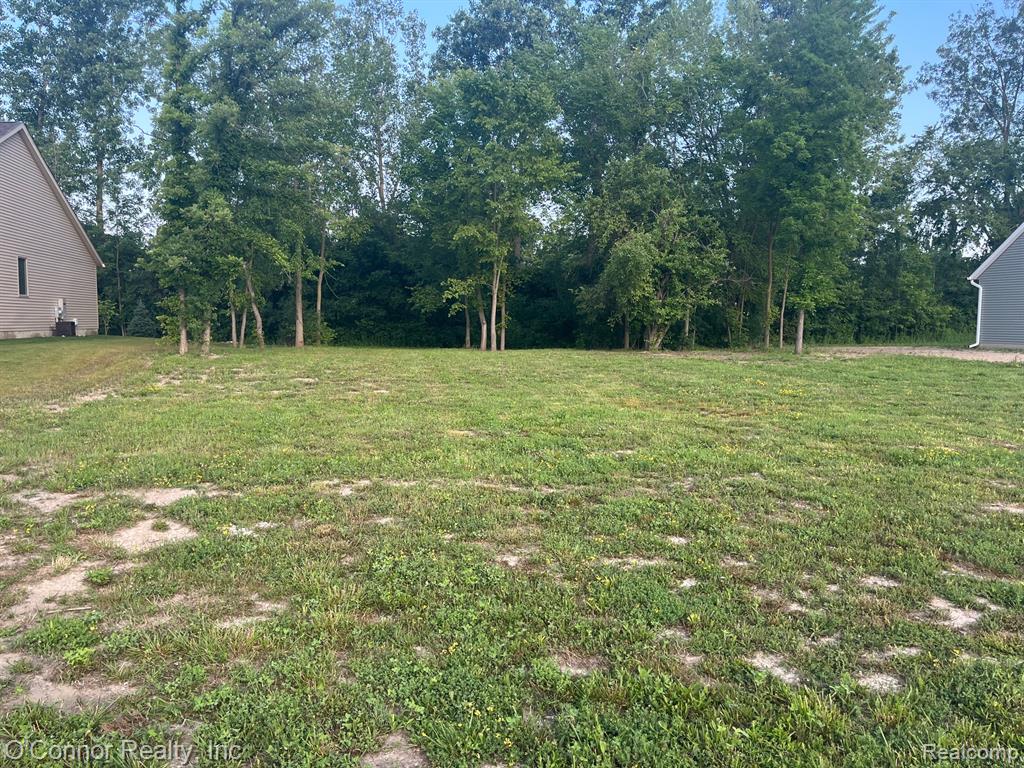 80 CAPITOL Drive, Marysville, MI 48040 — Photo 3