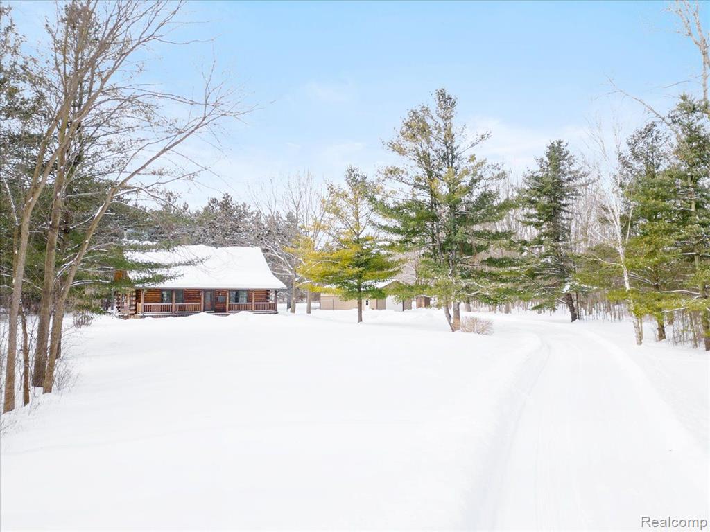 6613 BLACK RIVER Drive, Grant, MI 48032 — Photo 7