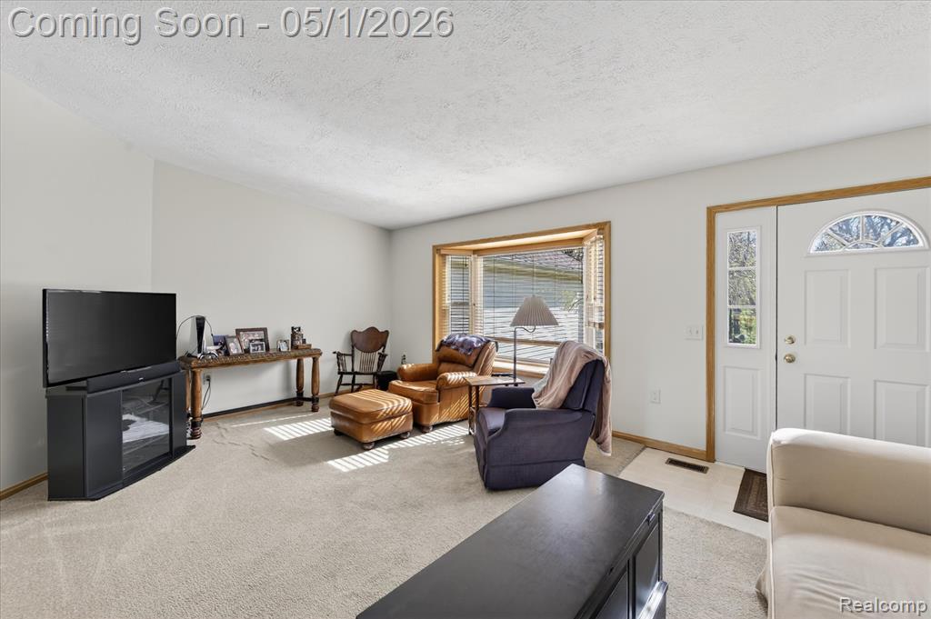 9074 Hamburg Road, Brighton, MI 48116 — Photo 7