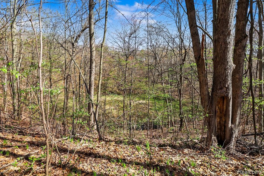 8815 Milford Road, Holly, MI 48442 — Photo 16