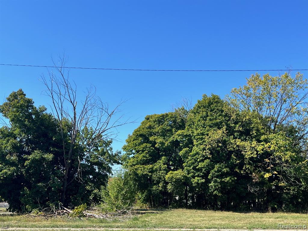 2949 E Vernor Highway, Detroit, MI 48207