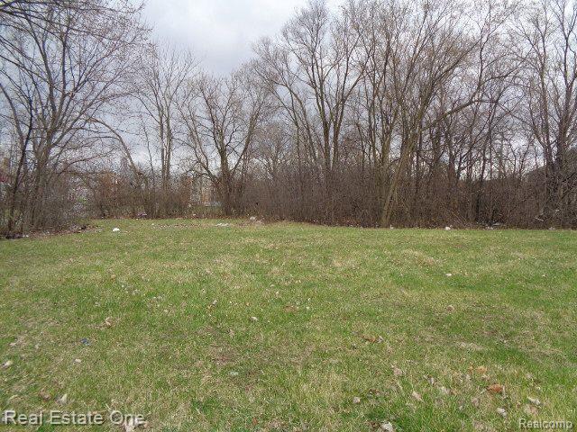 1749 COLLINGWOOD Street, Detroit, MI 48206 — Photo 6